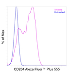 CD204 Antibody