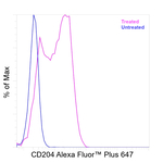 CD204 Antibody