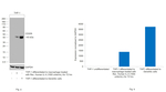 CD209 (DC-SIGN) Antibody