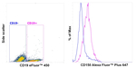 CD150 Antibody