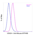 VSIG4 Antibody