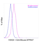 VSIG4 Antibody