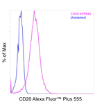 CD20 Antibody in Flow Cytometry (Flow)