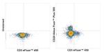 CD20 Antibody