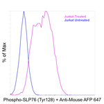 Phospho-SLP-76 (Tyr128) Antibody