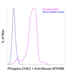 Phospho-CHK2 (Thr68) Antibody in Flow Cytometry (Flow)