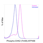 Phospho-CHK2 (Thr68) Antibody in Flow Cytometry (Flow)