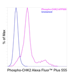 Phospho-CHK2 (Thr68) Antibody in Flow Cytometry (Flow)