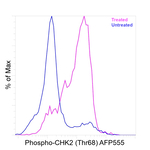 Phospho-CHK2 (Thr68) Antibody in Flow Cytometry (Flow)