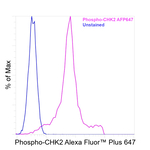Phospho-CHK2 (Thr68) Antibody in Flow Cytometry (Flow)