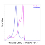 Phospho-CHK2 (Thr68) Antibody in Flow Cytometry (Flow)