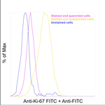 FITC Antibody in Flow Cytometry (Flow)