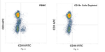 FITC Antibody in Flow Cytometry (Flow)