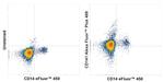 CD141 Antibody in Flow Cytometry (Flow)