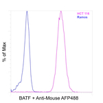 BATF Recombinant Mouse Monoclonal Antibody (MBM7C7)
