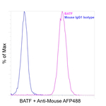 BATF Antibody in Flow Cytometry (Flow)