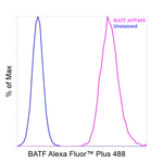 BATF Antibody in Flow Cytometry (Flow)
