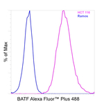 BATF Recombinant Mouse Monoclonal Antibody (MBM7C7), Alexa Fluor™ Plus 488