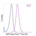 BATF Recombinant Mouse Monoclonal Antibody (MBM7C7), Alexa Fluor™ Plus 555