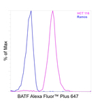 BATF Recombinant Mouse Monoclonal Antibody (MBM7C7), Alexa Fluor™ Plus 647