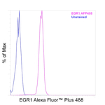 EGR1 Antibody in Flow Cytometry (Flow)