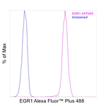 EGR1 Antibody in Flow Cytometry (Flow)