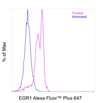 EGR1 Antibody in Flow Cytometry (Flow)