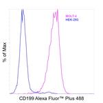 CD199 (CCR9) Antibody