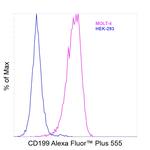 CD199 (CCR9) Antibody in Flow Cytometry (Flow)