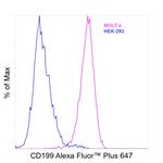 CD199 (CCR9) Antibody
