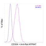 CD304 (Neuropilin-1) Antibody