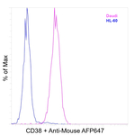 CD38 Recombinant Mouse Monoclonal Antibody (HIT2)