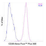 CD38 Antibody