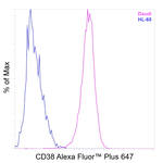 CD38 Recombinant Mouse Monoclonal Antibody (HIT2), Alexa Fluor™ Plus 647