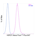 HSP27 Antibody in Flow Cytometry (Flow)