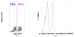 Phospho-CD247 (CD3 zeta) (Tyr142) Antibody