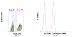 Phospho-CD247 (CD3 zeta) (Tyr142) Antibody