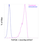ThPOK Antibody in Flow Cytometry (Flow)