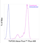 ThPOK Antibody in Flow Cytometry (Flow)