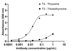 L-Thyroxine (T4) Recombinant Mouse Monoclonal Antibody (T4YCH)
