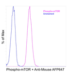 Phospho-mTOR (Ser2448) Antibody in Flow Cytometry (Flow)