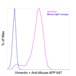 Vimentin  Antibody in Flow Cytometry (Flow)