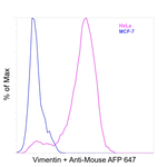 Vimentin  Antibody in Flow Cytometry (Flow)