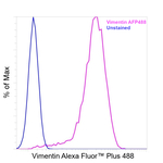 Vimentin Antibody in Flow Cytometry (Flow)