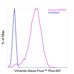Vimentin Antibody in Flow Cytometry (Flow)