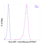 HLA-DR Antibody