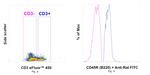 CD45R (B220) Antibody