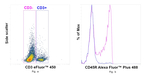 CD45R (B220) Antibody