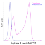 Arginase 1 Antibody in Flow Cytometry (Flow)
