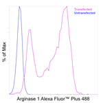 Arginase 1 Antibody in Flow Cytometry (Flow)